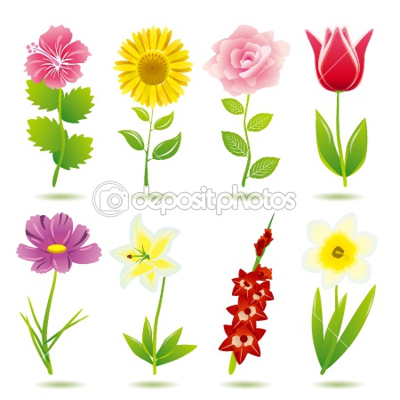 Flower Games on Most Recent Flashcards At Free Flash Card Maker By Proprofs