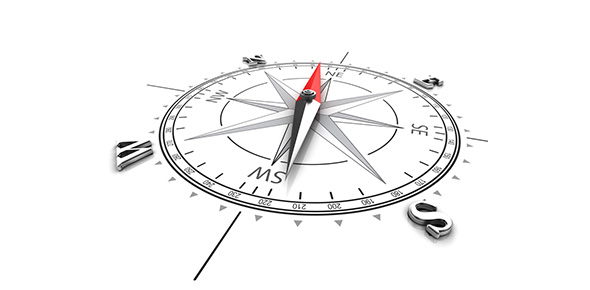 School discovery homework help bjpinchbeck