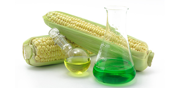 Agricultural Science Quizzes & Trivia