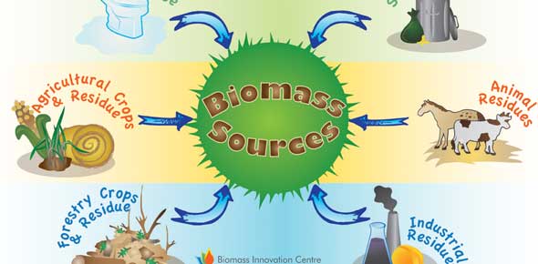 Biomass Quizzes & Trivia
