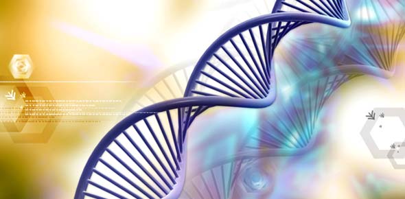 DNA Replication Quizzes & Trivia