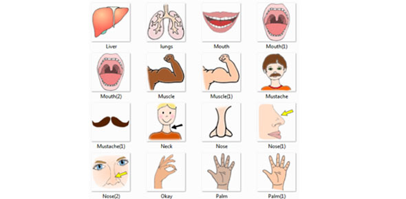 Body Parts Quizzes & Trivia