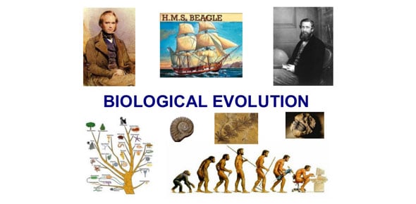 Biological Evolution Quizzes & Trivia