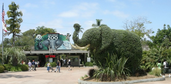 Zoo Quizzes & Trivia