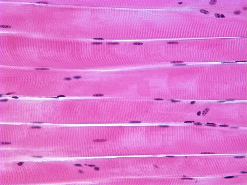 prozeßidentifikation identifikation und parameterschätzung dynamischer prozesse mit diskreten