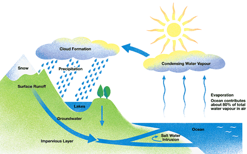 water cycle diagram