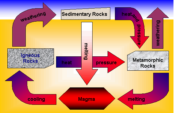 metamorphic rock cycle. involved in the rock cycle