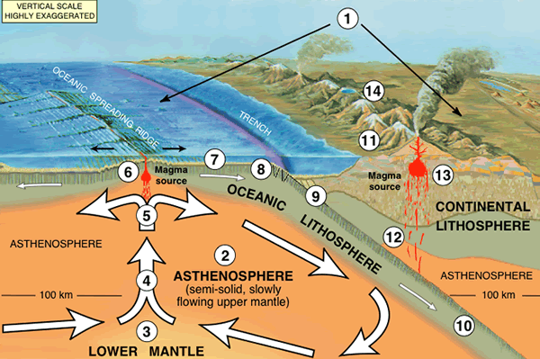 What is a lithospheric plate?