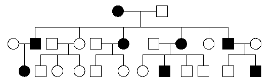 Pedigree Chart Quiz