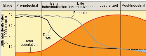 Graphs And Charts Quiz