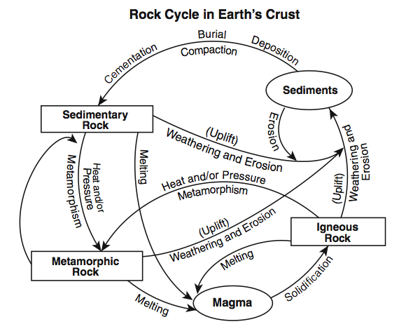 Carbon Cycle Diagram Earths