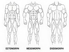 Male Body Type Test - Quiz