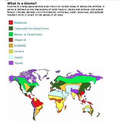 Biomes: End Of Units Prep Quiz