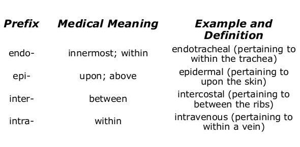 Basic Medical Terminology Quiz ProProfs Quiz