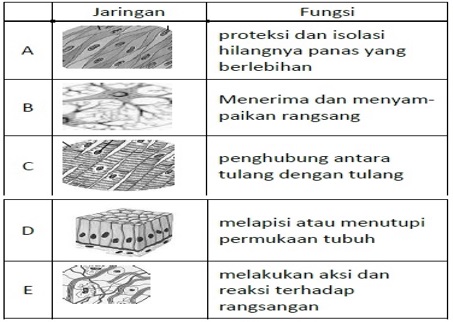 Latihan Unbk Biologi 2021 Paket 2 ProProfs Quiz