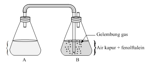 Latihan Unbk Biologi 2017 Paket 2 - ProProfs Quiz