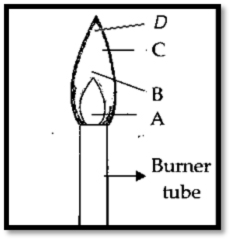 Year 7 Laboratory Test - Mr. Hung