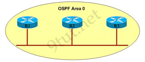 Test Your Knowledge Is On CCNA  OSPF Questions 2 - Quiz