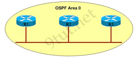 Test Your Knowledge Is On CCNA – OSPF Questions 2