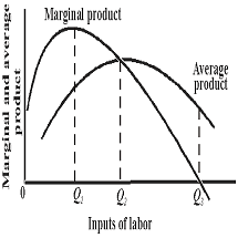Refer To The Diagram If Labor Is The Only Variable Input The Marginal
Product Of Labor Is At A