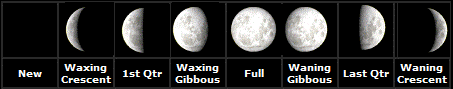 Cordi's Phases Of The Moon Quiz