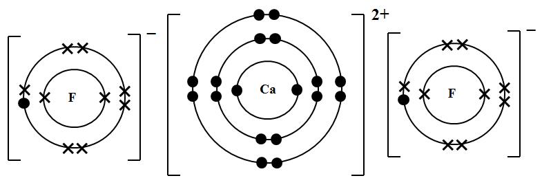 Ionic Bonding Quiz 2 - ProProfs Quiz Electron Dot Diagram For Sodium