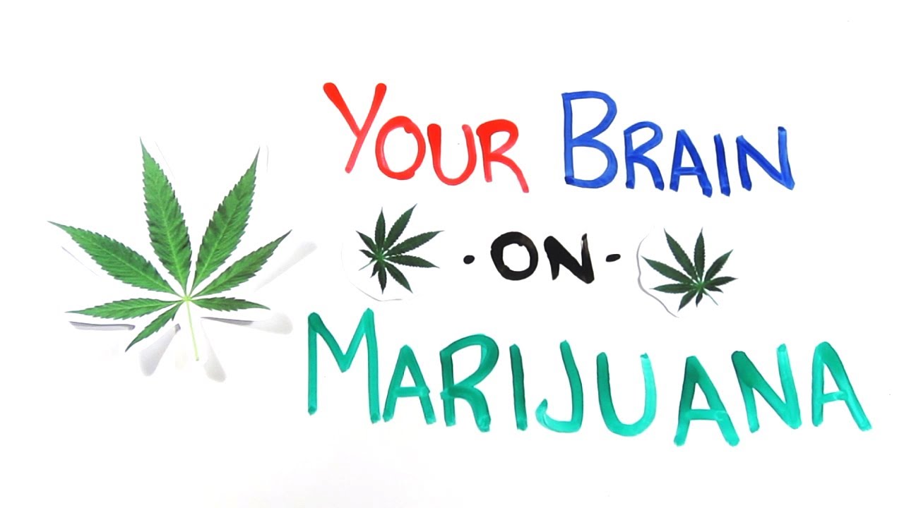 Effects Of Marijuana On Brain Function - Quiz