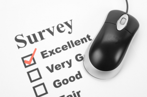 Online Survey