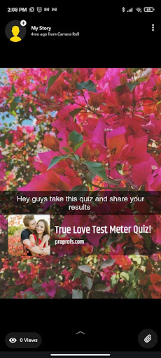 true-love-test-meter-quiz