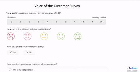 voice of the customer templates