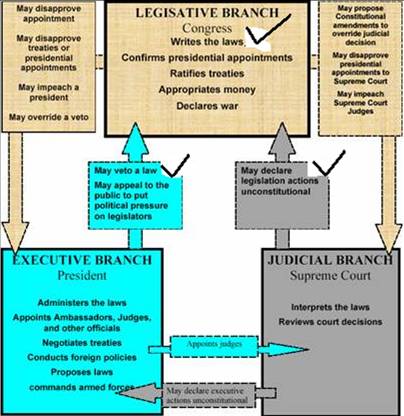 Executive And Judicial Branch Analysis