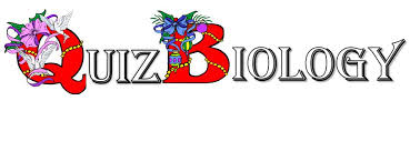 Biology Prefix Test - 8