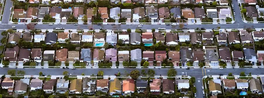 Immigrants and the States