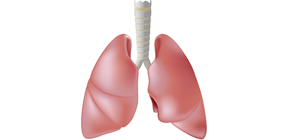 Lung Quizzes & Trivia