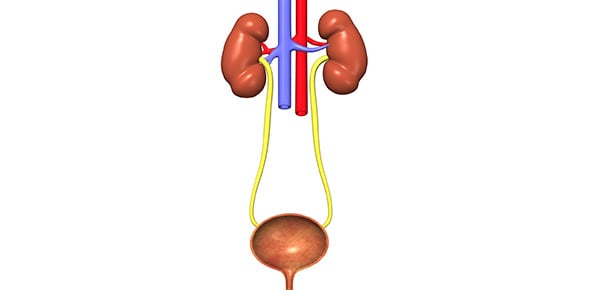 Clinical Urinary System Quiz