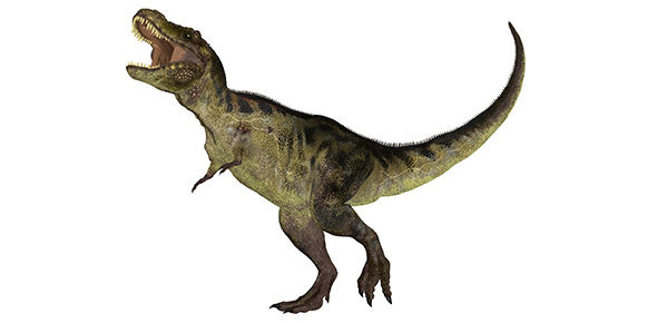 Dinosaur Quizzes & Trivia
