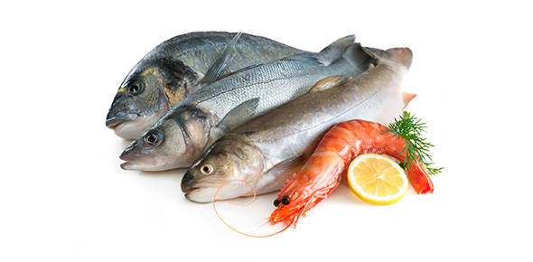 Fish & Seafood Chapter 5: Shellfish