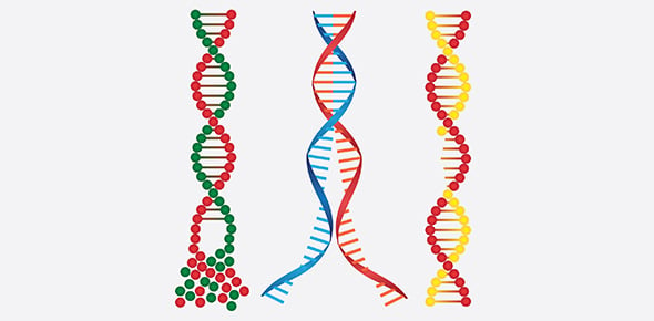 Molecular Biology Quizzes & Trivia