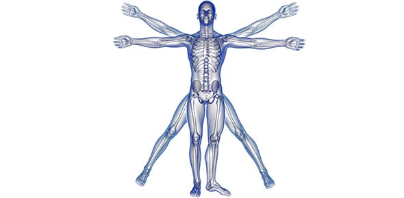 Human Physiology Integumentary System Quiz