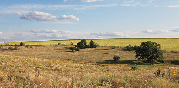 Conserving Land And Soil Reading Quiz