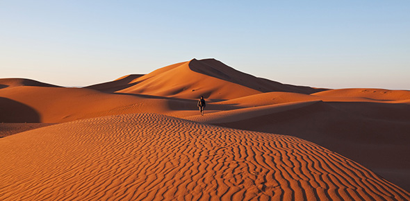 A Brief Quiz About Deserts!