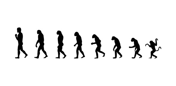 Principles Of Evolution Quiz