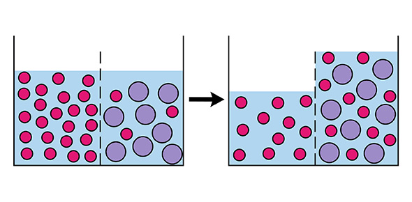 Osmosis Quizzes & Trivia