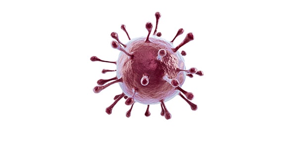 Cell Cycle And Mitosis