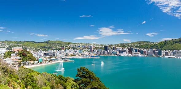 Wellington Quizzes & Trivia