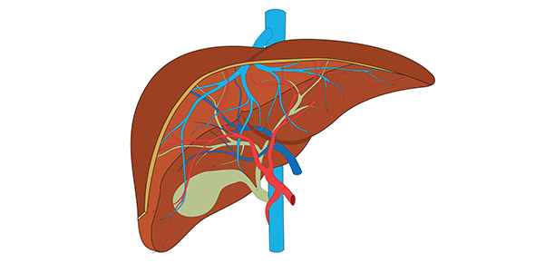 Gastroenterology Quizzes & Trivia