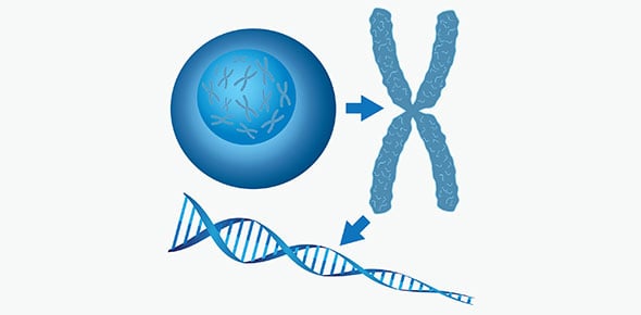 Robbins Gen Path - genetics