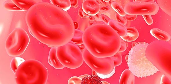 Immunological Diagnostic 2: PCR And Quick Tests