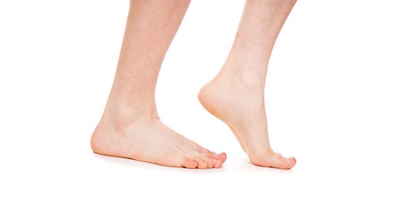 Ankle/ Foot (Therex Test 4)