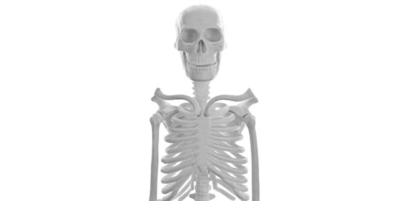 Human Skeleton Quizzes & Trivia